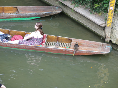 IMG 20240811 130720.jpg