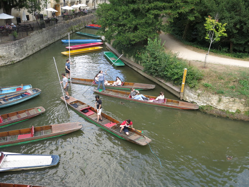 IMG 20240811 130726.jpg