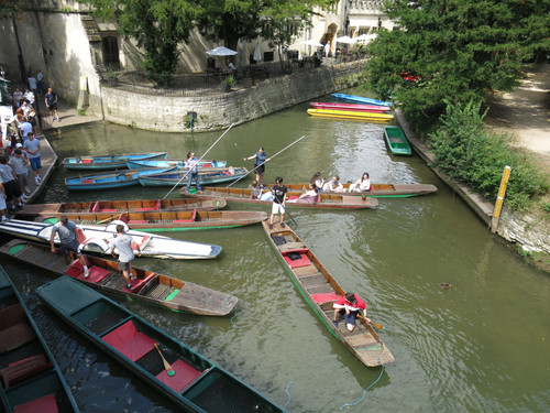 IMG 20240811 130658.jpg