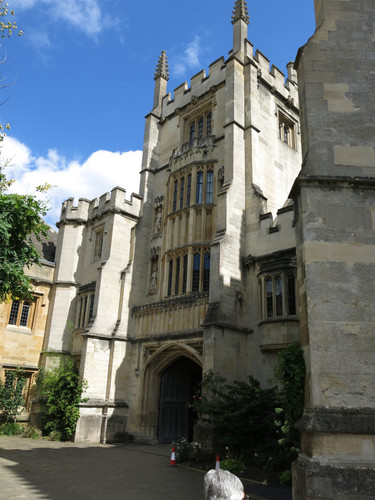 IMG 20240811 131222.jpg