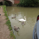 IMG 20240815 130607