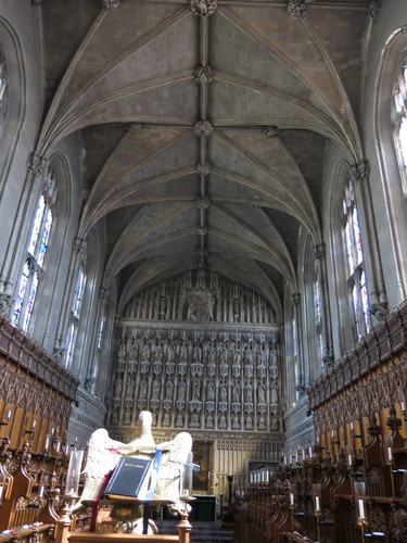 IMG 20240811 131501.jpg