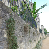 IMG 20240811 144830