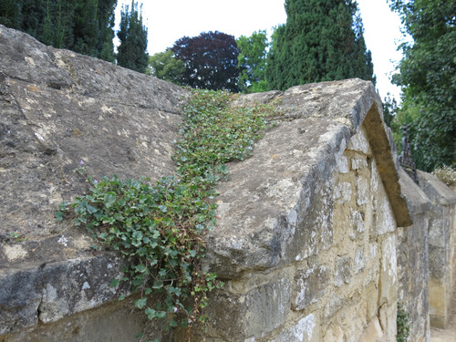 IMG 20240811 144549.jpg