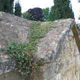 IMG 20240811 144549