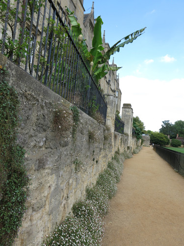 IMG 20240811 144838.jpg