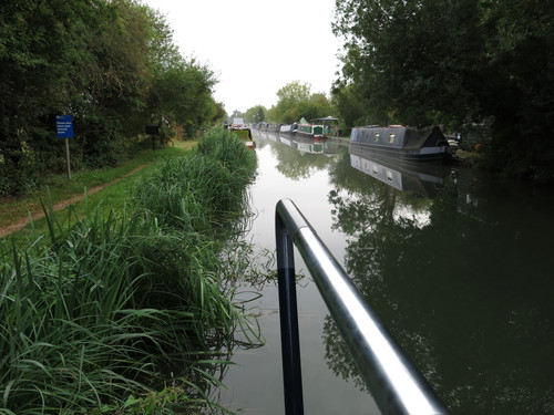 IMG 20240819 060839.jpg