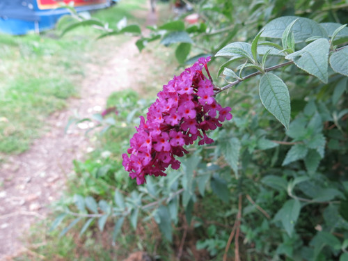 IMG 20240818 163544.jpg