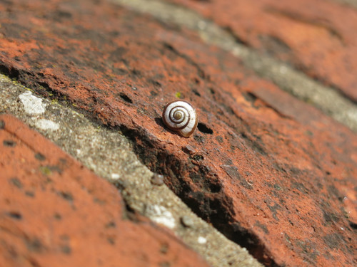 IMG 20240816 094122.jpg