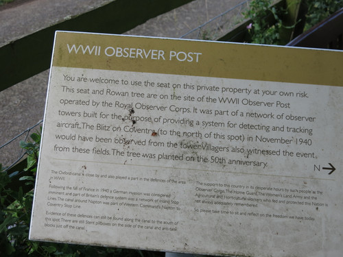 IMG 20240816 102915.jpg