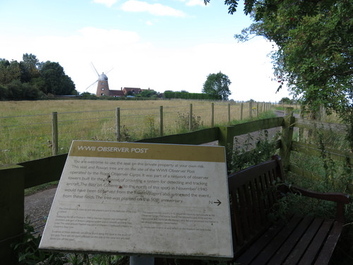 IMG 20240816 102921.jpg