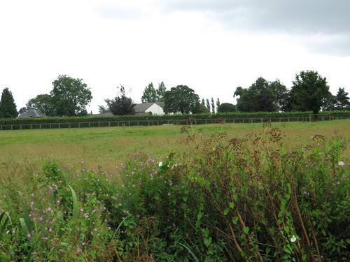 IMG 20240815 155603.jpg