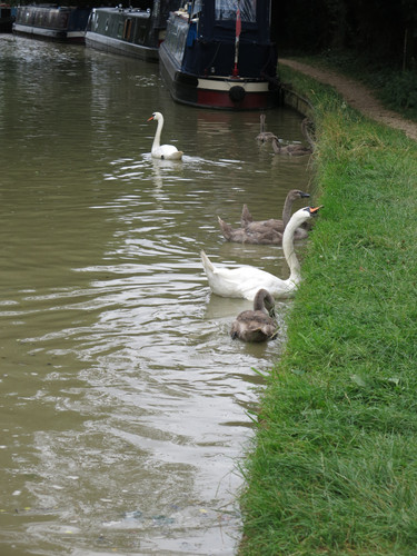 IMG 20240815 130759.jpg