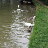 IMG 20240815 130759