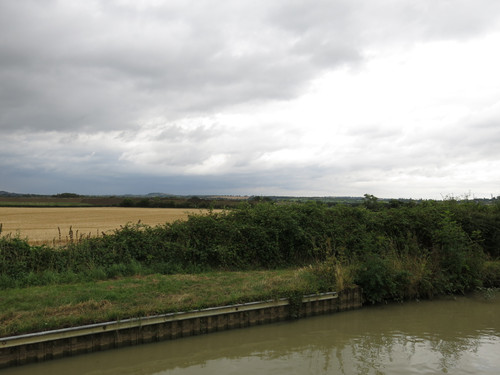 IMG 20240815 161011.jpg