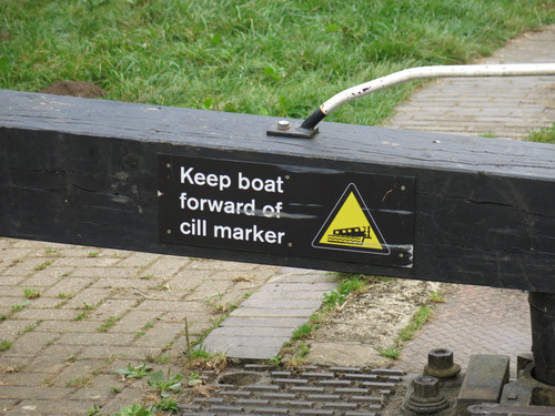 IMG 20240819 110517.jpg