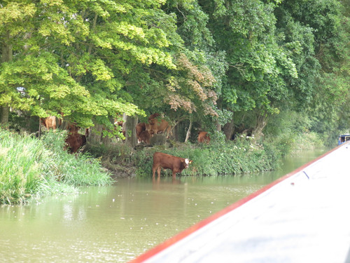 IMG 20240819 095813.jpg