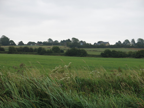 IMG 20240819 101920.jpg