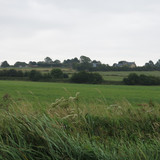 IMG 20240819 101920