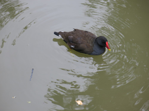 IMG 20240819 135108.jpg