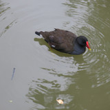 IMG 20240819 135108