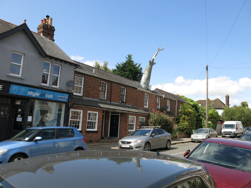 IMG 20240820 124125.jpg
