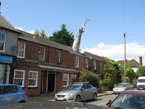 IMG 20240820 124113.jpg
