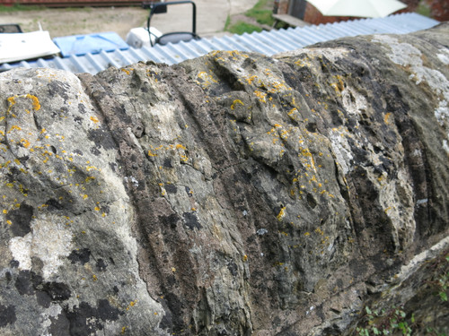 IMG 20240820 085626.jpg