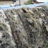 IMG 20240820 085626