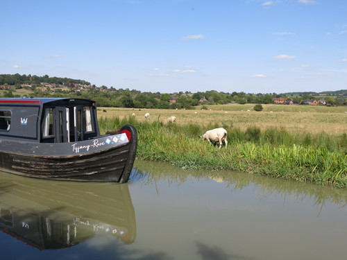 IMG 20240816 143941.jpg