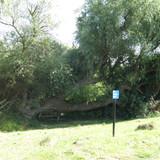 IMG 20240816 141711
