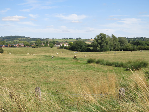 IMG 20240816 143557.jpg