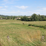 IMG 20240816 143557
