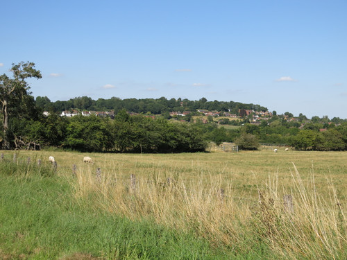 IMG 20240816 143545.jpg