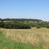 IMG 20240816 143545