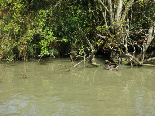 IMG 20240816 131557.jpg