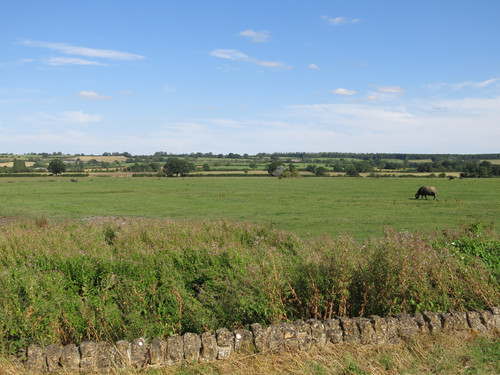 IMG 20240816 145125.jpg