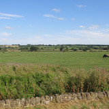 IMG 20240816 145125