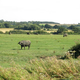 IMG 20240816 145134
