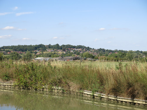 IMG 20240816 150153.jpg