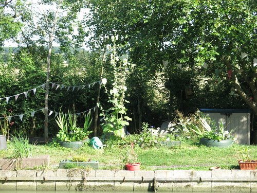 IMG 20240816 151708.jpg