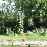 IMG 20240816 151708