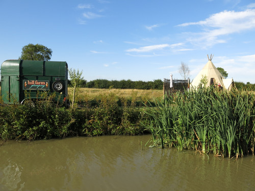 IMG 20240816 170416.jpg