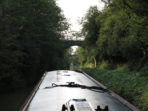 IMG 20240817 070218.jpg