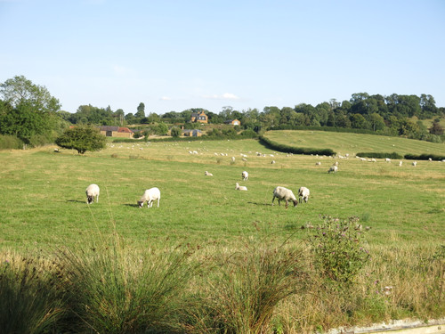 IMG 20240816 164949.jpg