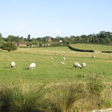IMG 20240816 164949