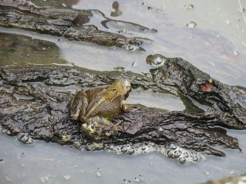 IMG 20240814 075817.jpg