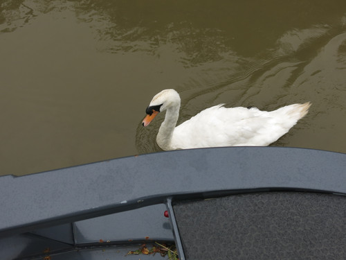 IMG 20240814 152534.jpg