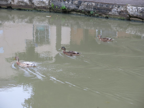 IMG 20240814 112535.jpg