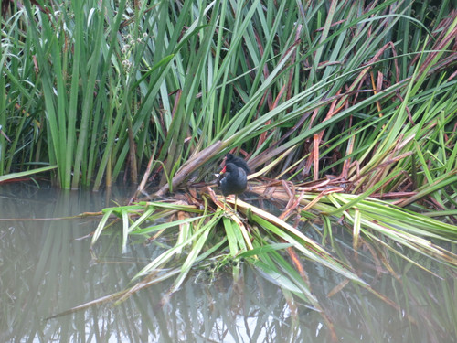 IMG 20240814 101649.jpg